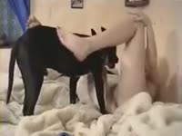 Two pervert sluts got screwed by a dog’s cock